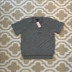 Gray/shimmer short sleeve banana republic sweater